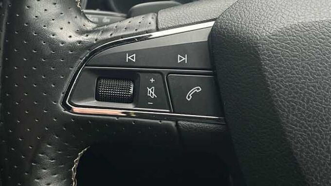 SEAT Leon 5dr (2016) 2.0 TSI Cupra 300 DSG